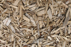 biomass boilers Juniper